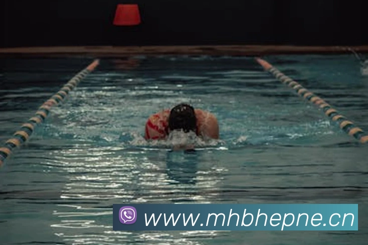 星空体育官网在线登陆平台生态图