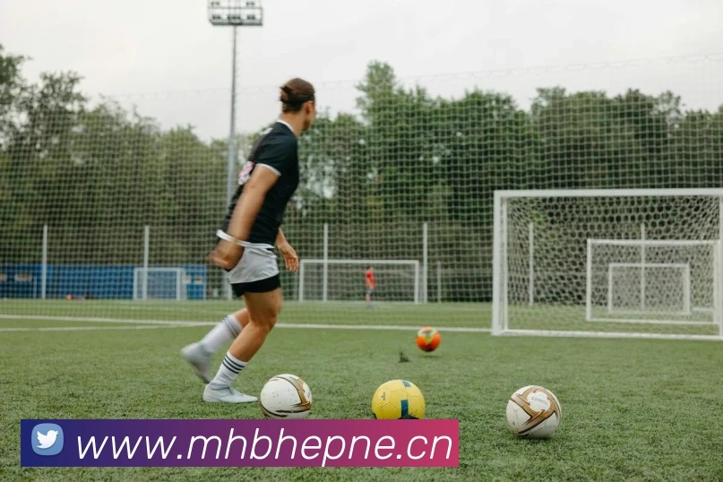 星空体育官网在线登陆APP 封面图